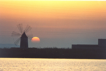 Trapani