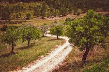 Hiking in Sicily