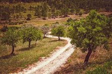 Hiking in Sicily